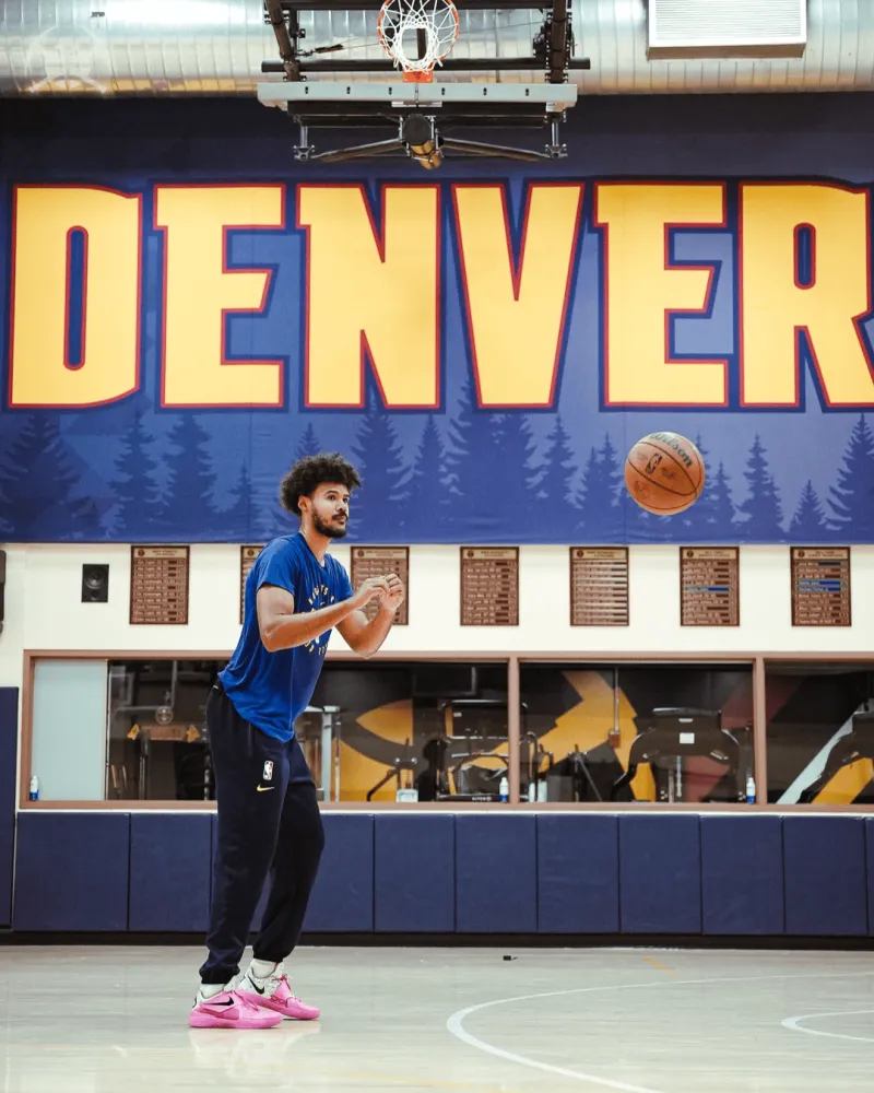 包含巴西国家队发布备战花絮；冲刺阶段队长鼓劲；NBA常规赛任务艰巨；赛季目标并未改变的词条