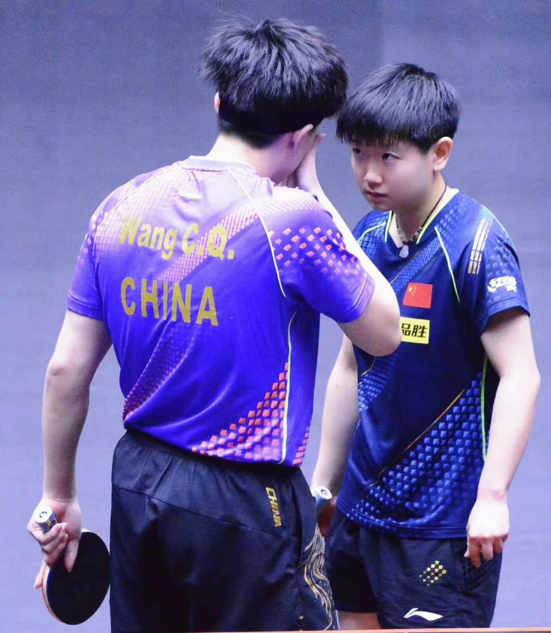 越前的幼驯染计划综-爱游戏app下载